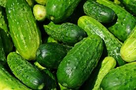 Kirby / Pickling Cuke