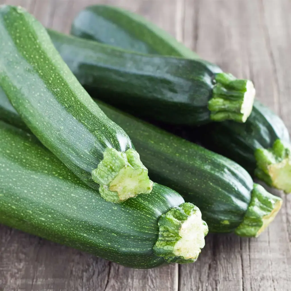 Zucchini