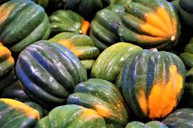 Acorn Squash 