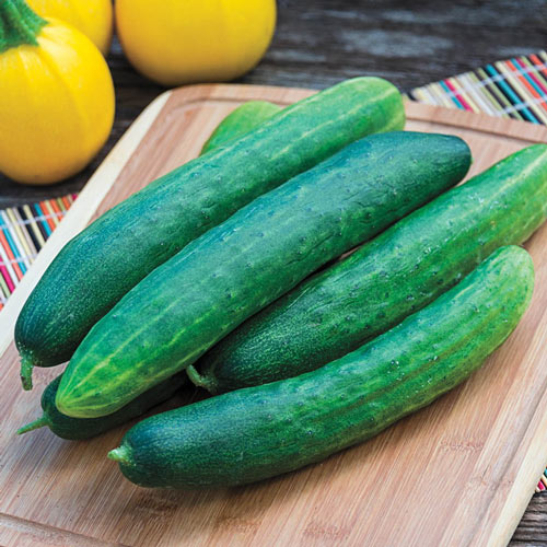 Cucumbers