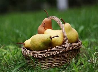 Pears Quart