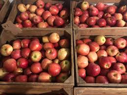 [400000000671] 1/2 Bushel Apples #2 