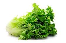 Lettuce